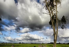 炸金花真的能让人一夜暴富吗？